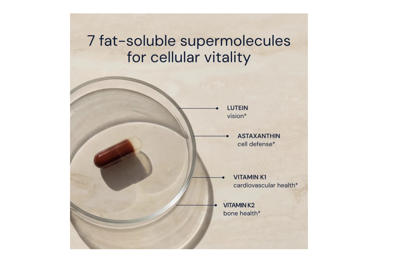 Advanced Antioxidants