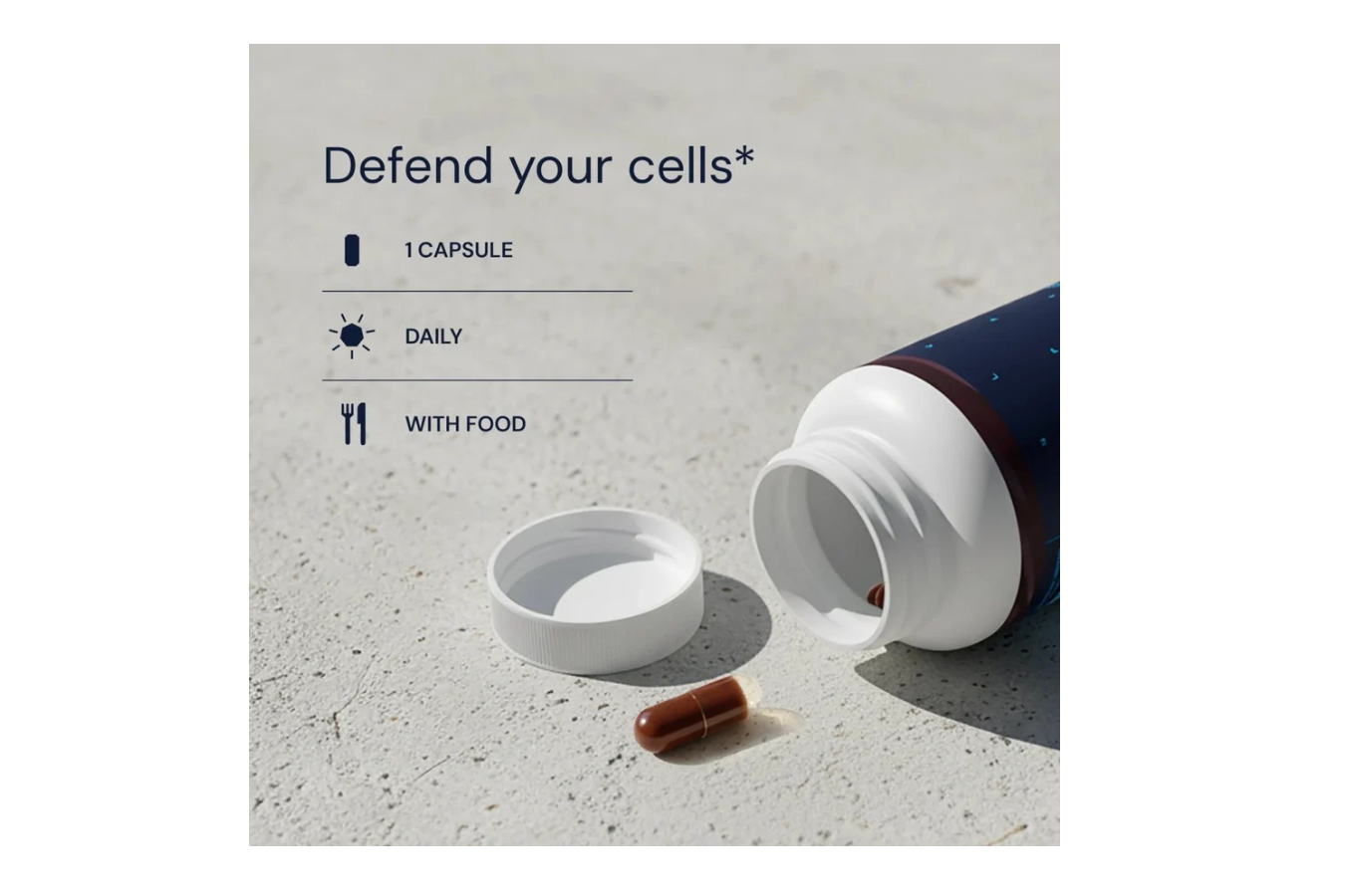 Advanced Antioxidants