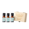 Breath Fresh Essential Oil Box Set